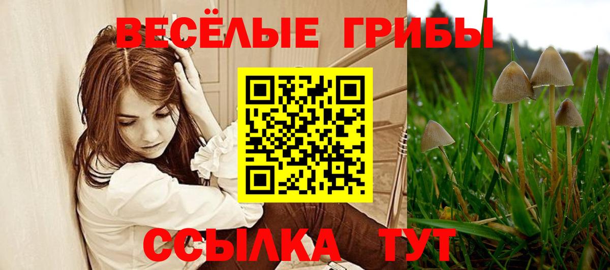 Галлюциногенные грибы GOLDEN TEACHER Батайск