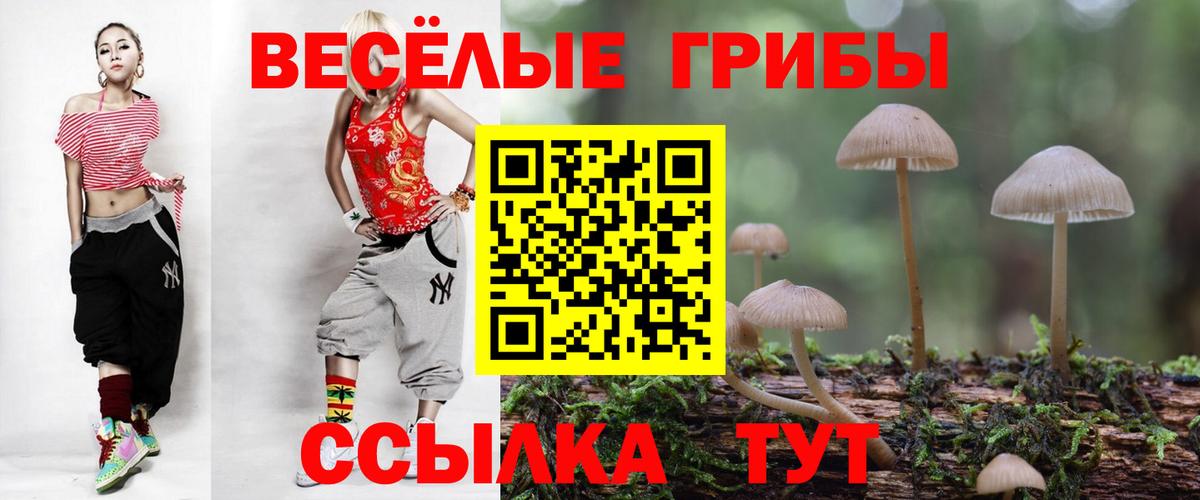 Батайск  Псилоцибиновые грибы Magic Shrooms  где купить   Вход с VPN 